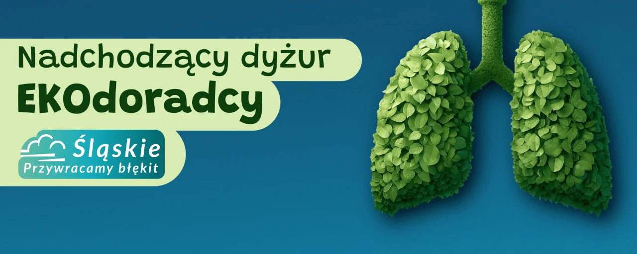 Bezpłatne porady Ekodoradcy w Świętochłowicach – dowiedz się, jak zdobyć dotacje