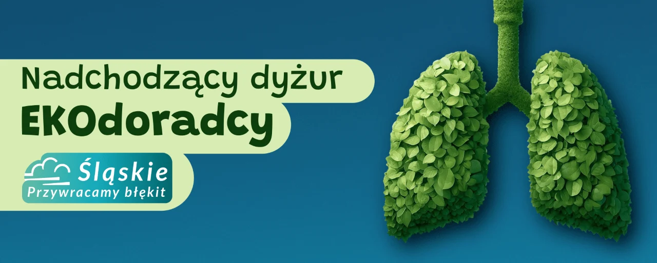 Kolejne bezpłatne konsultacje z Ekodoradcą w Świętochłowicach już 27 czerwca!