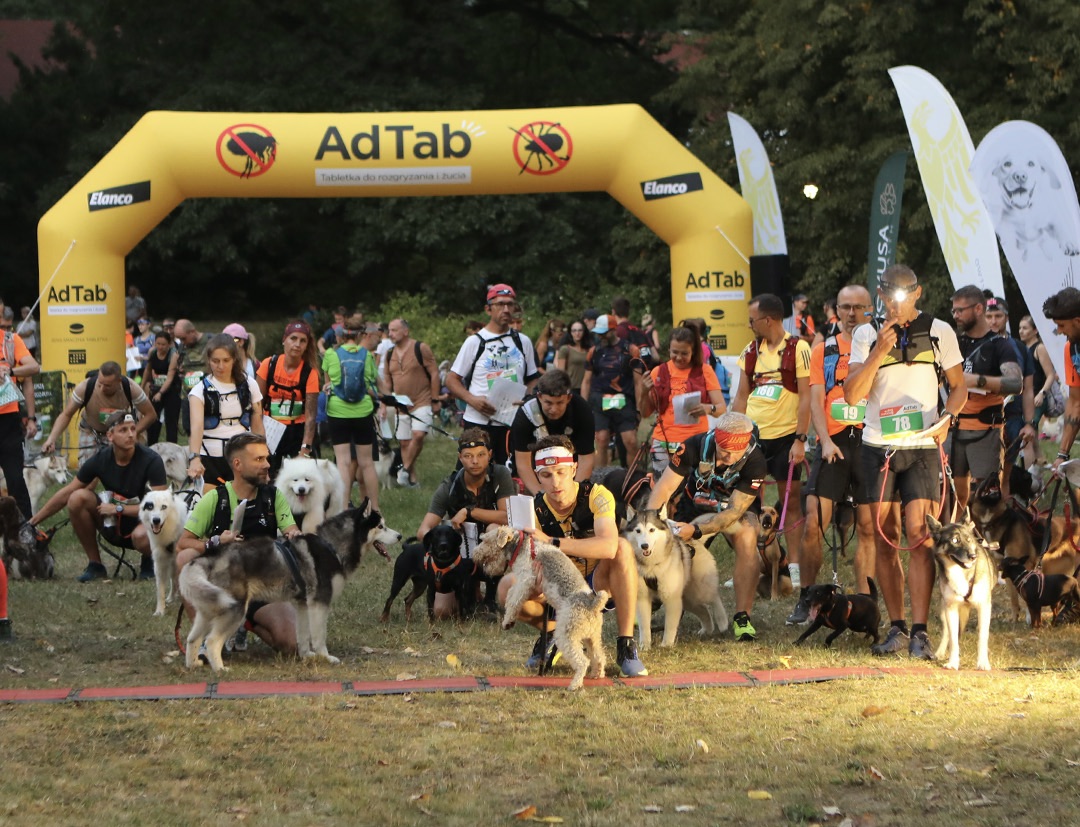 Dogtrekking w Chorzowie już w sobotę! Startuje Puchar Polski w TAURON Parku Śląskim