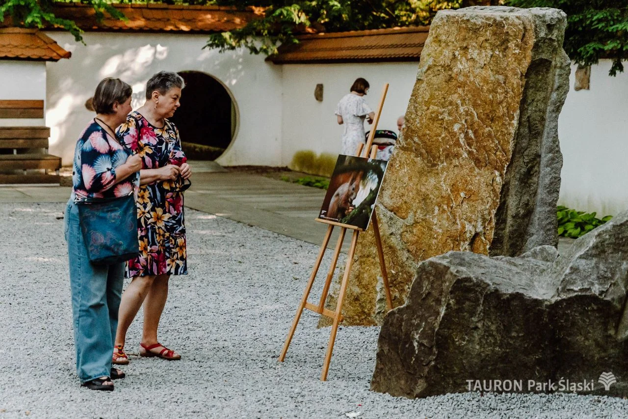 W Ogrodzie Japońskim odbył się wernisaż konkursu "Cztery Pory w Parku Śląskim"