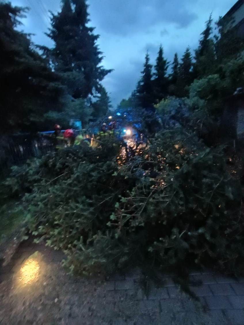 Pokłosie burz w Chorzowie. Strażacy interweniowali 21 razy