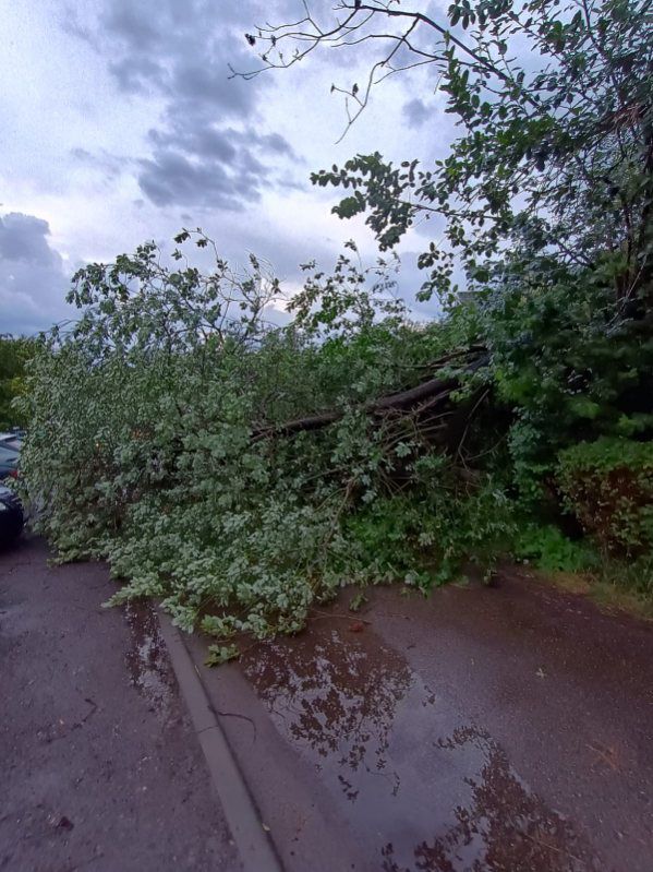 Pokłosie burz w Chorzowie. Strażacy interweniowali 21 razy