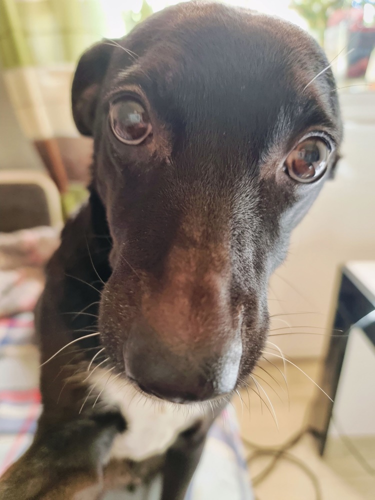 Nowości w szkołach od września! Spotkanie w Kuratorium Oświaty w Katowicach