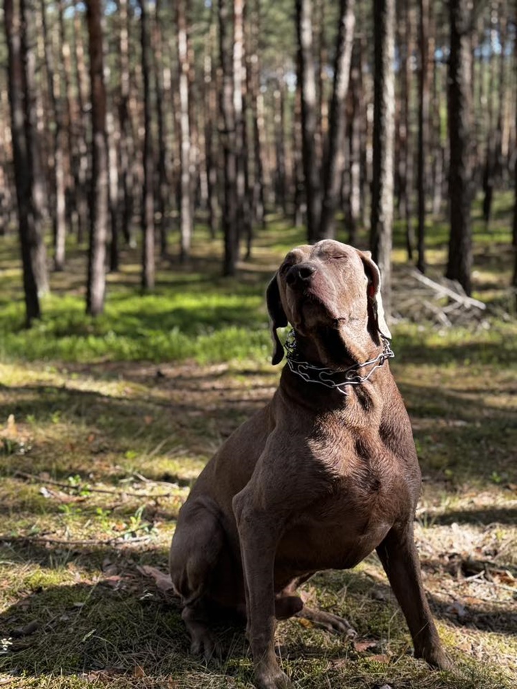 Trwa budowa mieszkań przy ulicy Ziętka. Wizyta na placu budowy