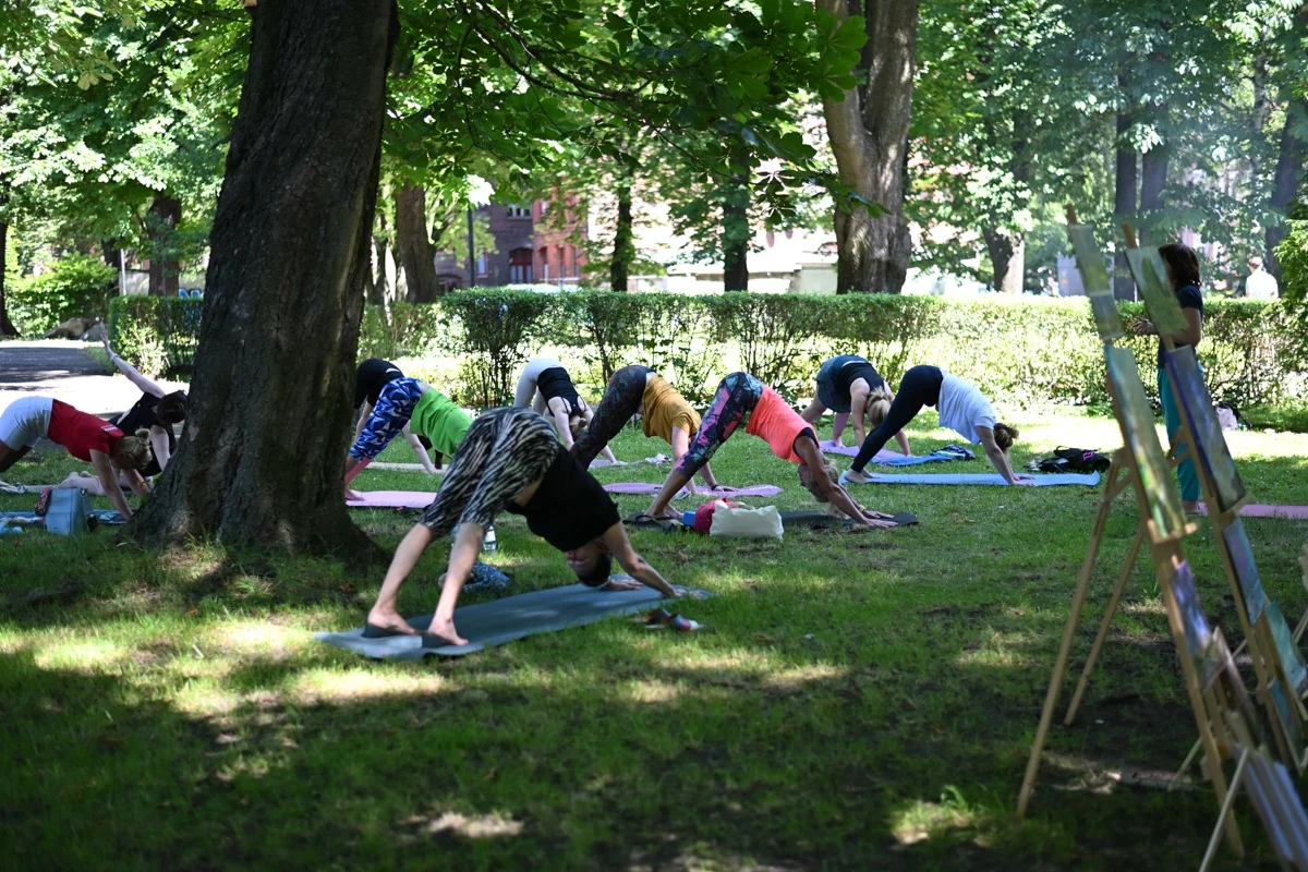 Ogród Śniadaniowy 44