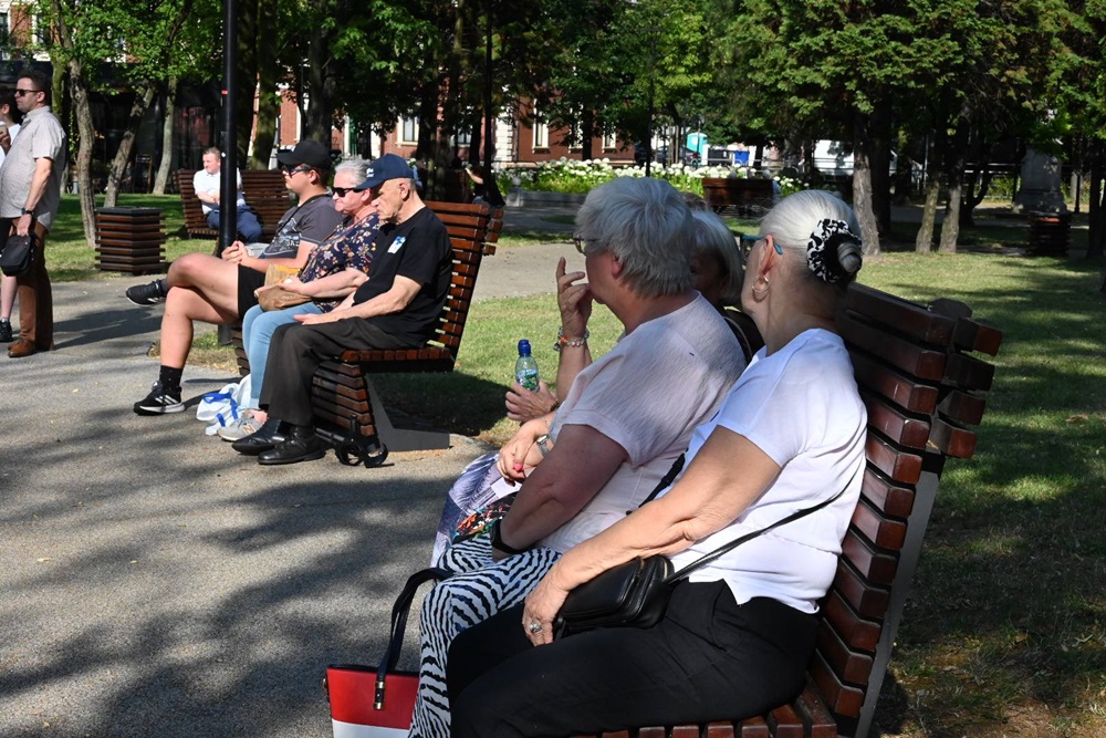 Koncert promenadowy na Goduli 15