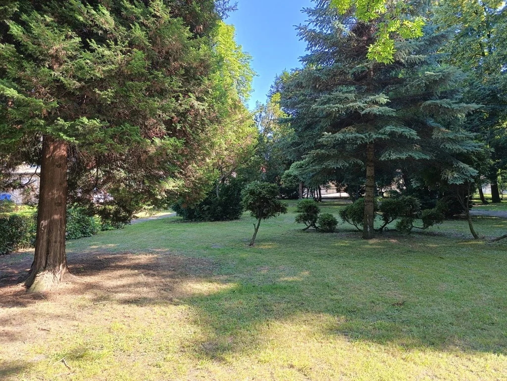 Zielona Ruda Śląska z kolejnym dofinansowaniem. Miasto rewitalizuje cztery tereny