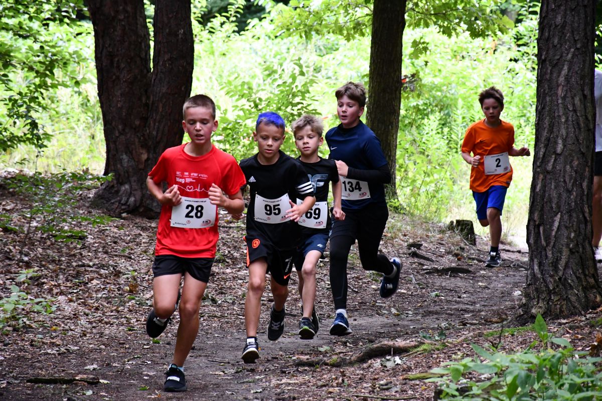 Lipcowy Bieg Wiewiórki 15