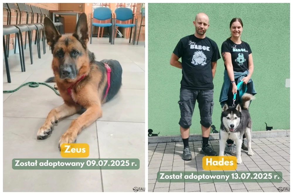 Dwa psiaki z Fauny znalazły nowe domy!