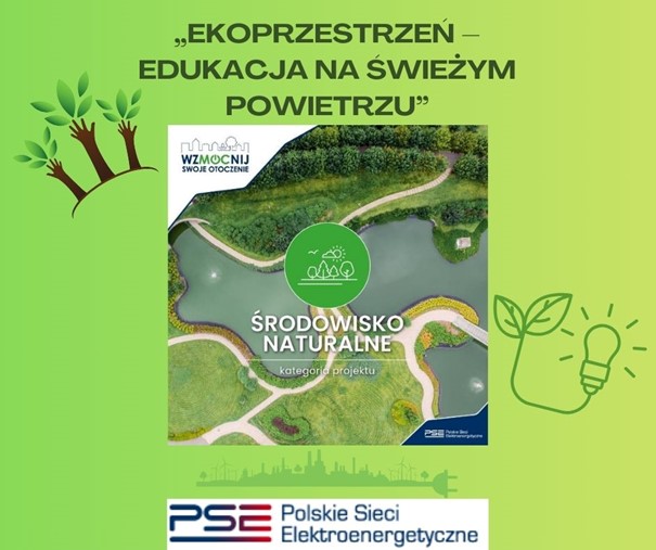 Razem dla Pszczół i Eko-Przestrzeń – Innowacyjne projekty w Szkole Podstawowej nr 11