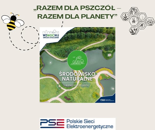 Razem dla Pszczół i Eko-Przestrzeń – Innowacyjne projekty w Szkole Podstawowej nr 11