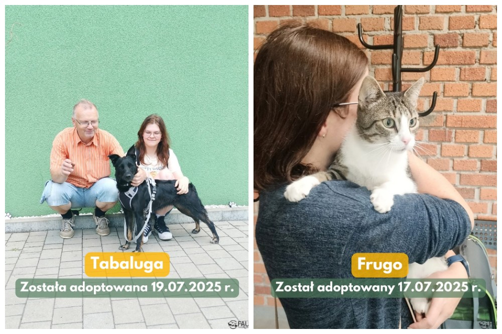 Adopcje w Faunie – kolejne zwierzaki znalazły dom!