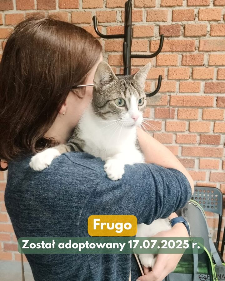 Adopcje w Faunie – kolejne zwierzaki znalazły dom!