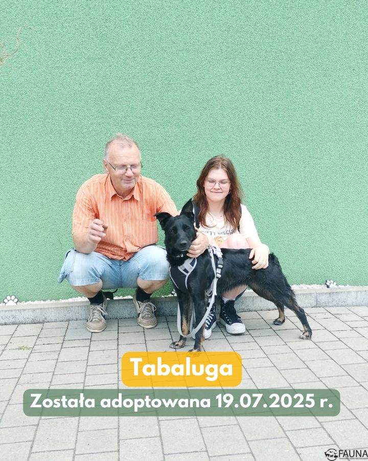 Adopcje w Faunie – kolejne zwierzaki znalazły dom!