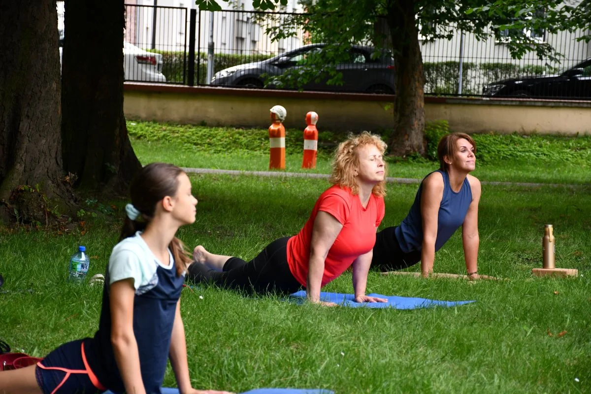 Ogród Śniadaniowy ŚTI 24