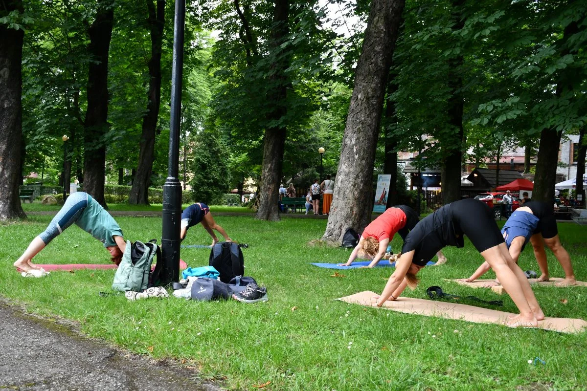 Ogród Śniadaniowy ŚTI 25