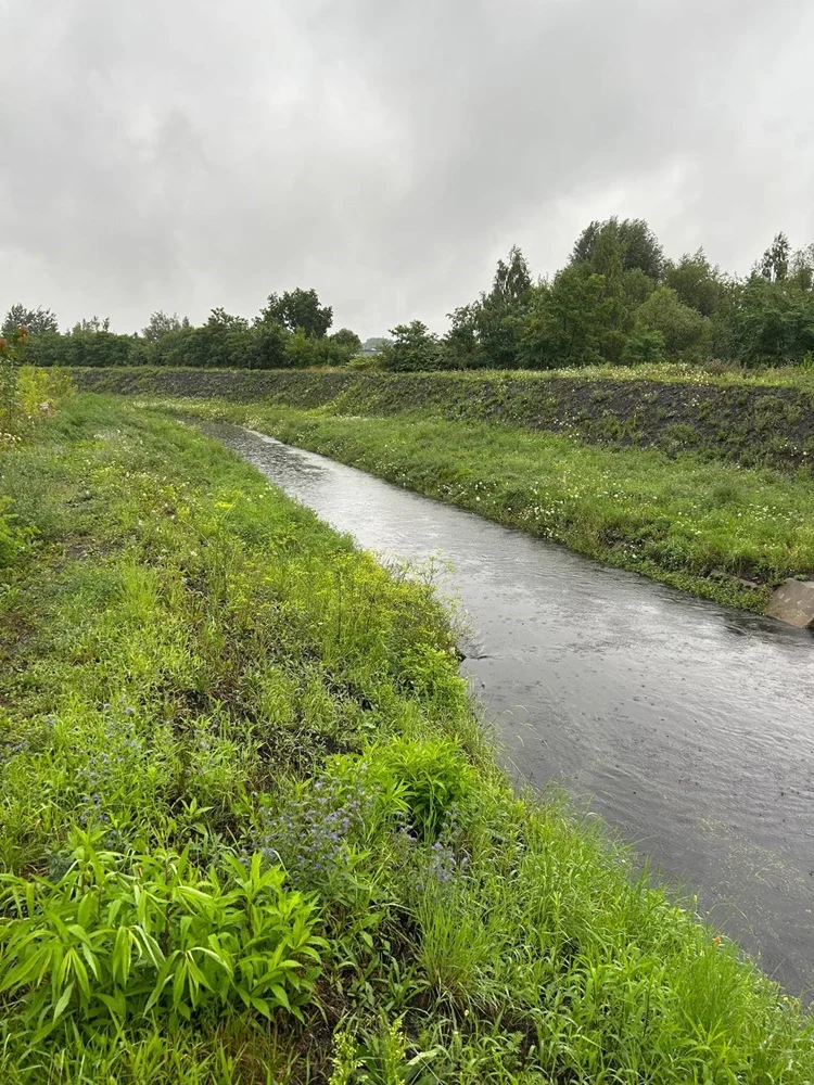 Sytuacja w Rudzie Śląskiej po intensywnych opadach deszczu 4