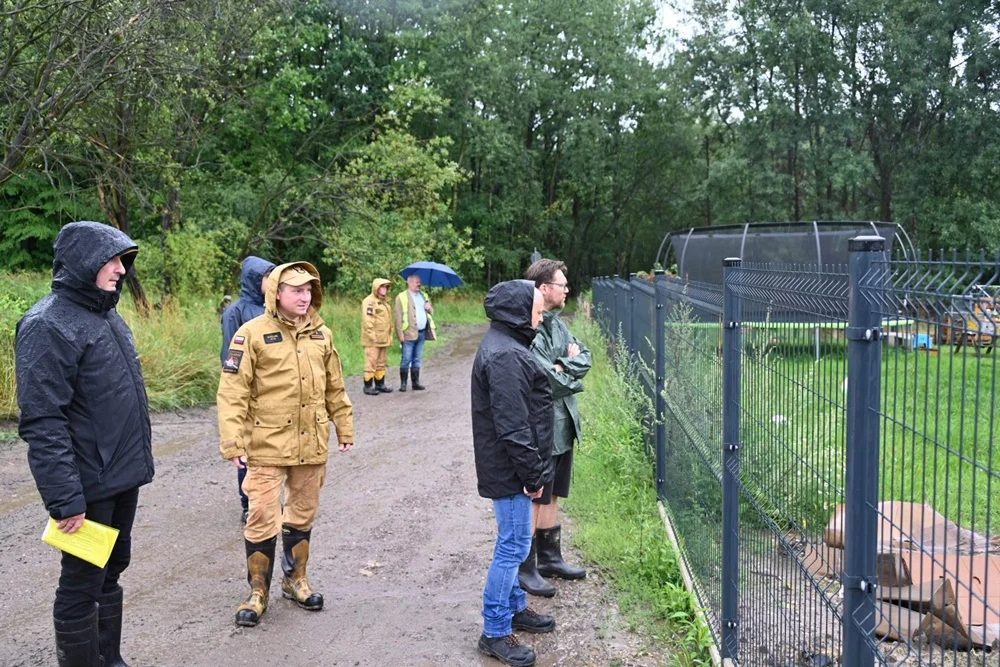 Sytuacja w Rudzie Śląskiej po intensywnych opadach deszczu 11