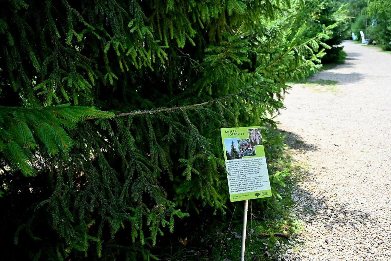 Harcerska Kuźnica tętni życiem 29