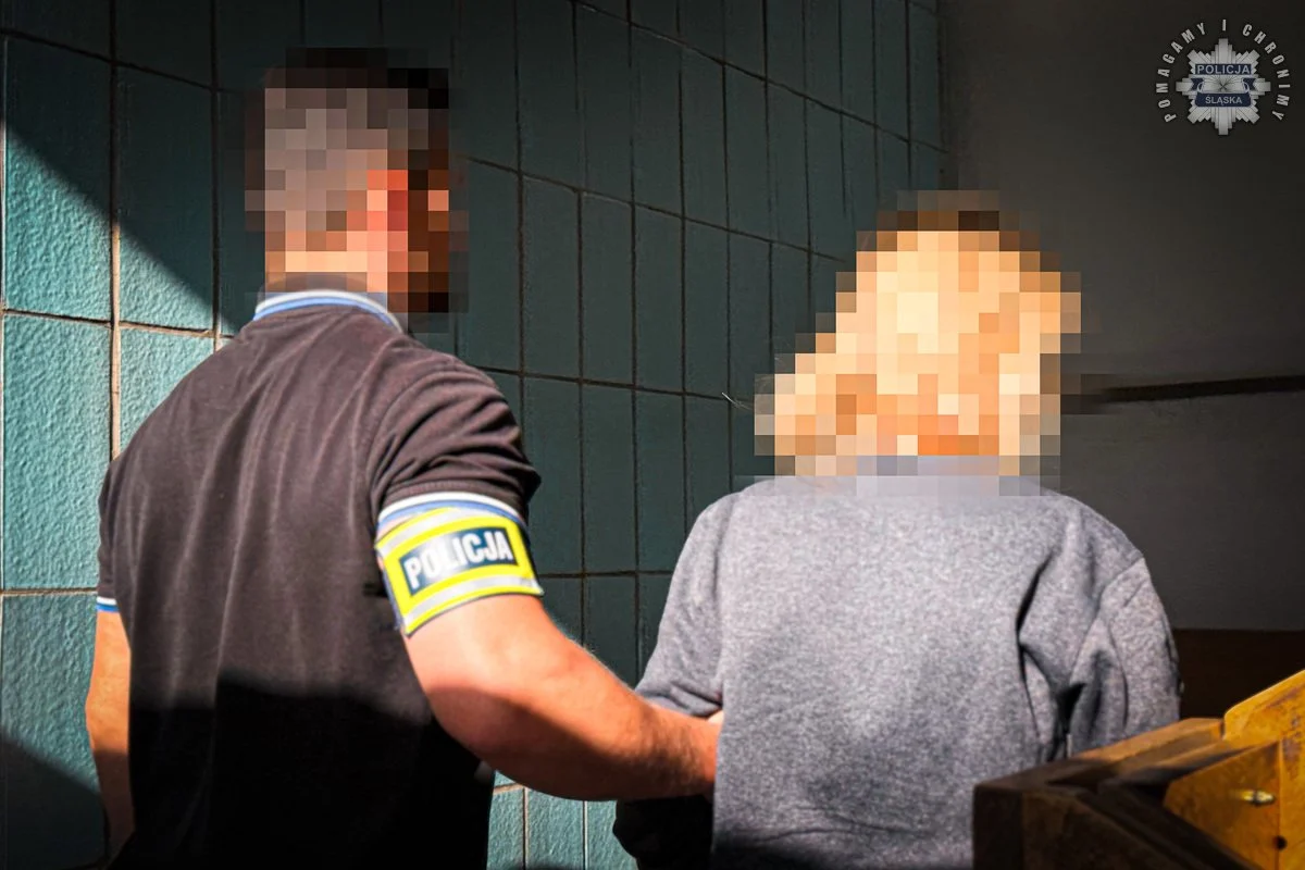 Agencja towarzyska w Rybniku zlikwidowana przez kryminalnych z KWP