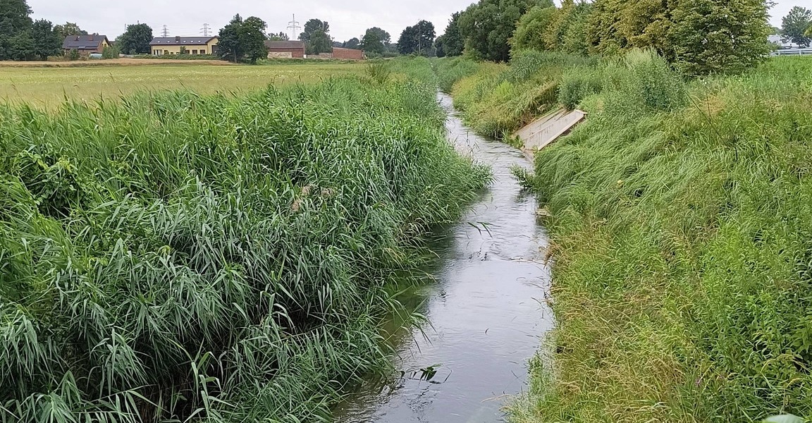 Bezpieczny stan wód w Pyskowicach – brak zagrożeń