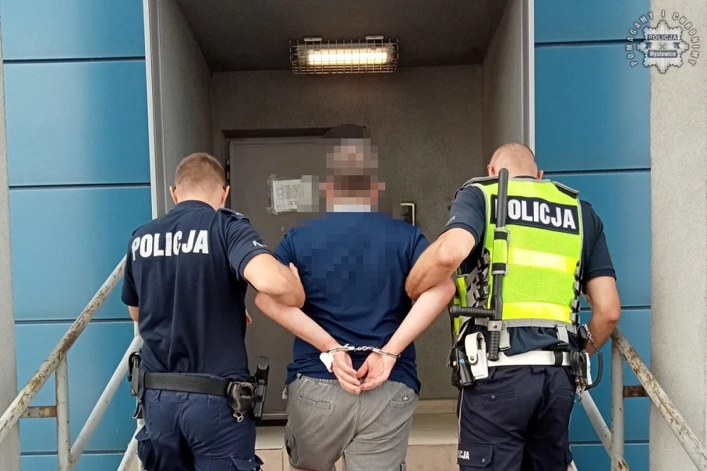 Kierowca wjechał w rabatkę, a potem zaatakował policjanta – teraz odpowie przed sądem