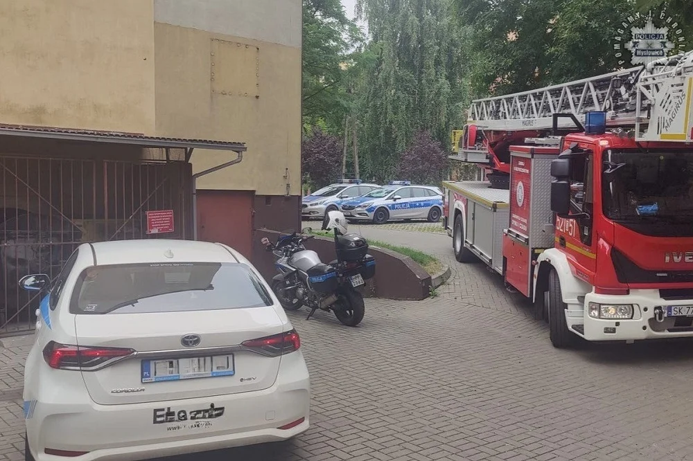 Kierowca wjechał w rabatkę, a potem zaatakował policjanta – teraz odpowie przed sądem