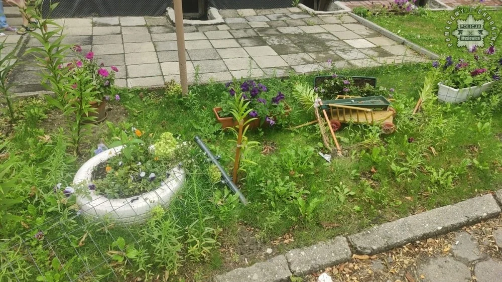 Kierowca wjechał w rabatkę, a potem zaatakował policjanta – teraz odpowie przed sądem