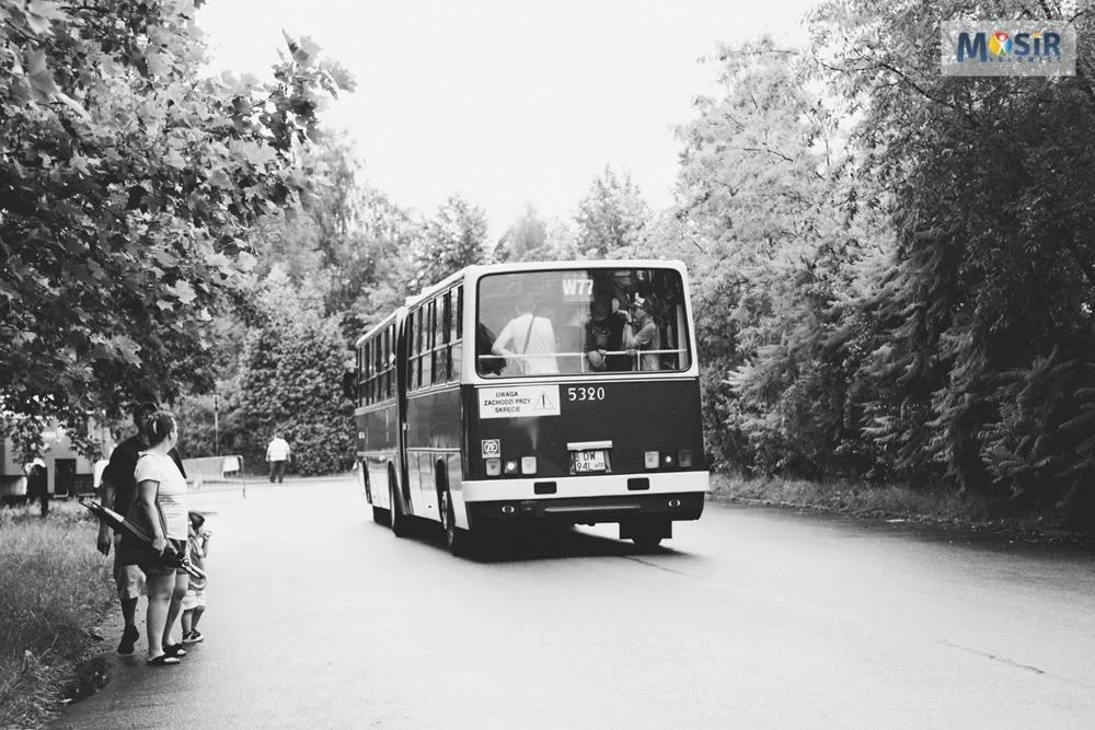II Zlot Autobusów Ikarus na Śląsku / fot. MOSiR Mysłowice