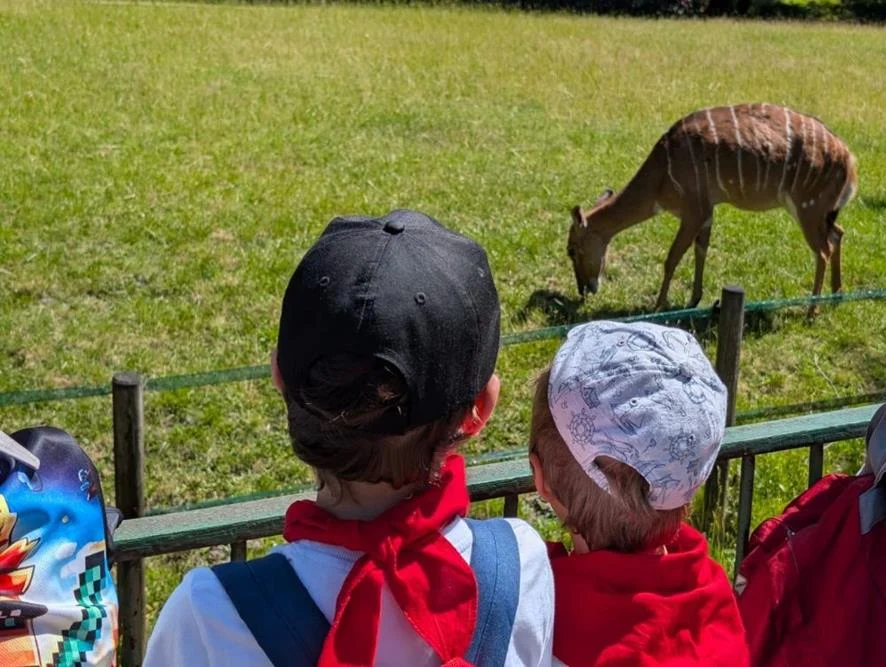 Półkolonie letnie 2025 - I turnus / fot. UM Piekary Śląskie