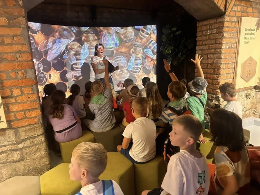 Półkolonie letnie 2025 - I turnus / fot. UM Piekary Śląskie