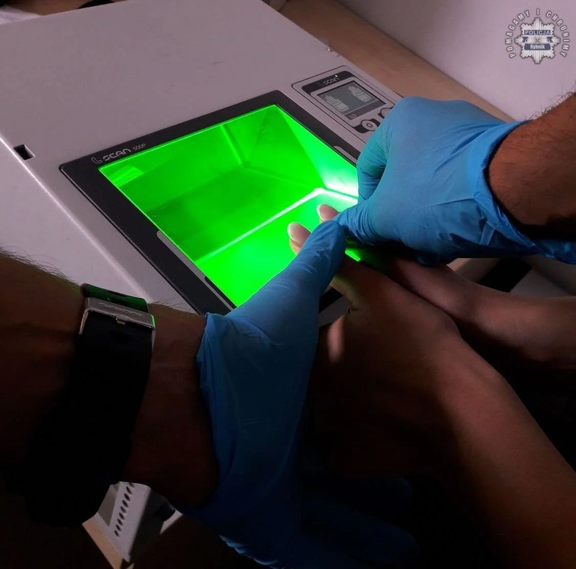 Kradzieże, narkotyki i 5-letnia kara – zatrzymane podejrzane kobiety