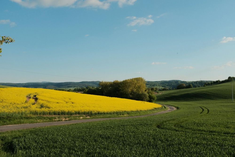 Wypoczynek na Kaszubach – gdzie szukać ciszy, natury i gościnności?