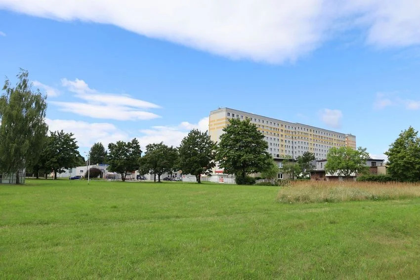 Mikrolas Miyawaki w Rybniku – zielona oaza w samym sercu miasta