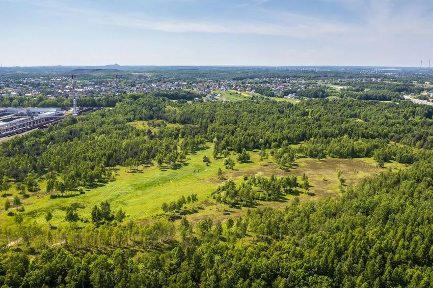 Rybnik sprzedaje atrakcyjny teren inwestycyjny – przetarg na 40 ha