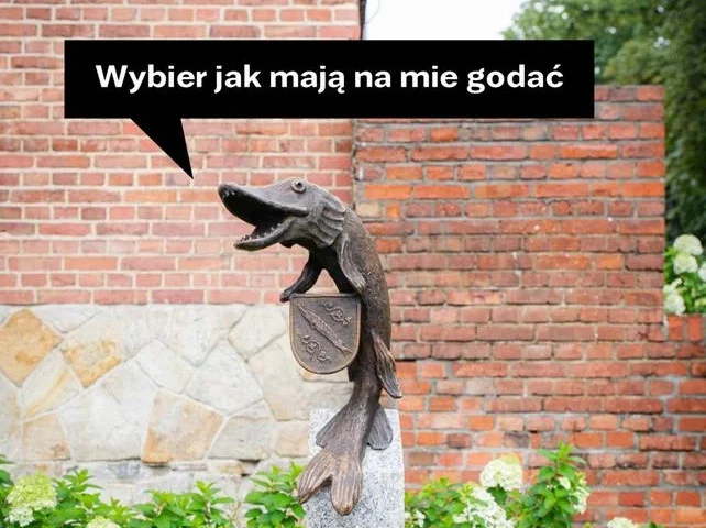 Rybniczanie wybiorą imię dla herbowego szczupaka – zgłoś swoją propozycję!