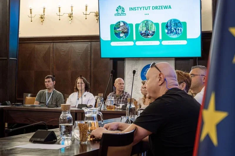 Zielona przyszłość Rybnika. Nowe zasady pielęgnacji i ochrony drzew