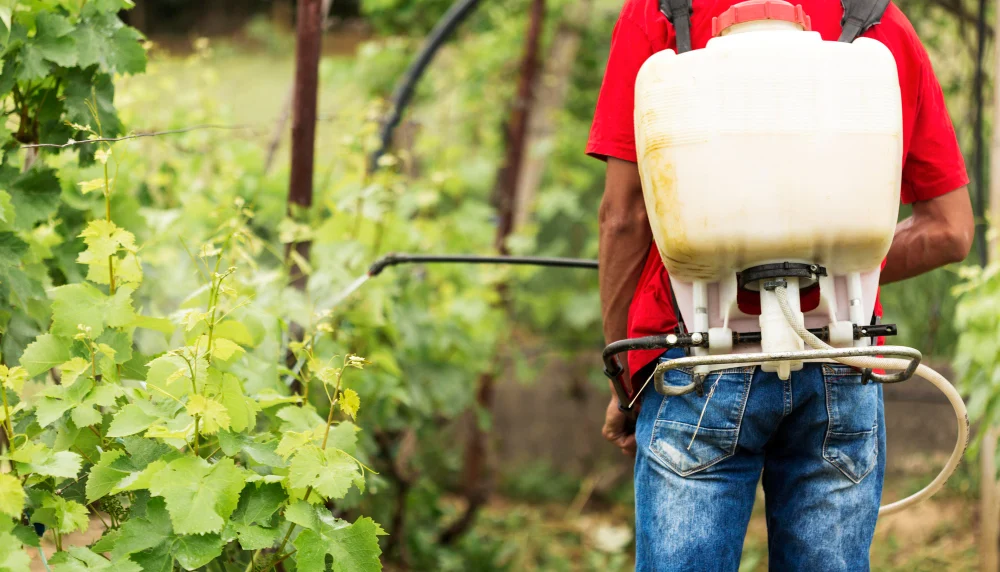 Opryskiwacze ręczne czy plecakowe - co wybrać?