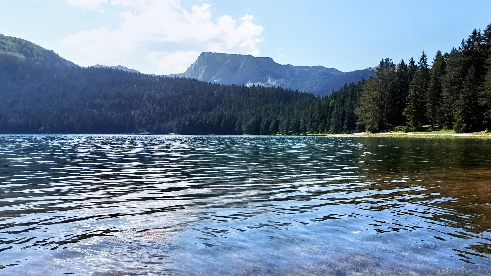 Wakacje trwają – zachowaj rozsądek nad wodą!