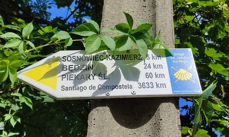 Przed nami spacer szlakiem Via Regia przez Sosnowiec. Sprawdźcie szczegóły!