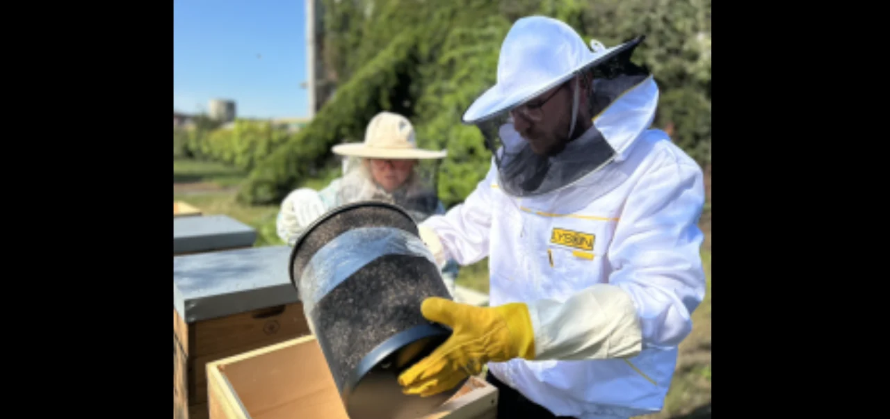 Na terenie Koksowni Bytom zamieszkały pszczoły!