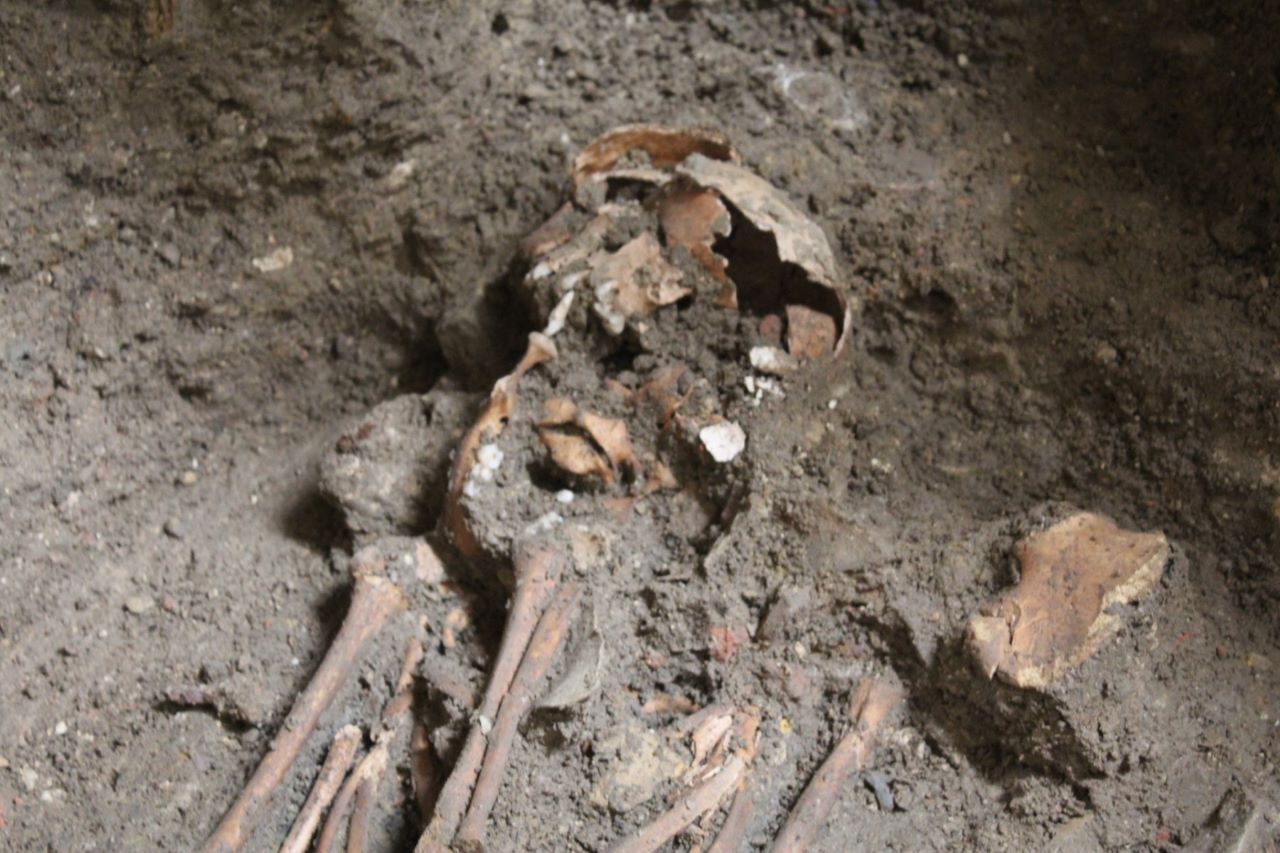 Sensacyjne odkrycie w kościele pw. św. Wojciecha. Archeolodzy odkryli groby dziecięce