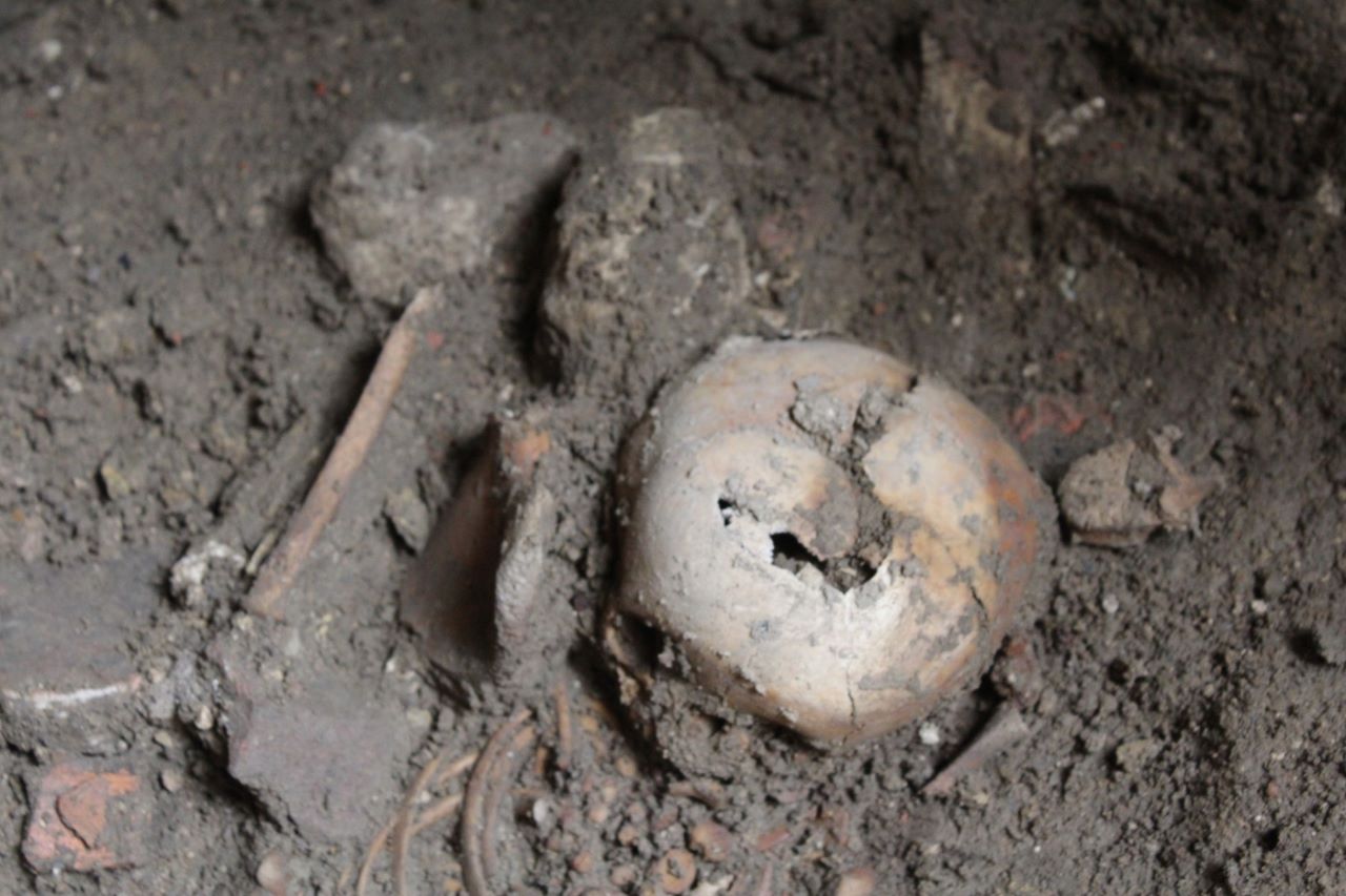 Sensacyjne odkrycie w kościele pw. św. Wojciecha. Archeolodzy odkryli groby dziecięce