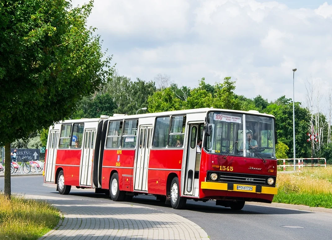 Zabytkowe Ikarusy wracają na trasy. Przejadą przez Mikołów