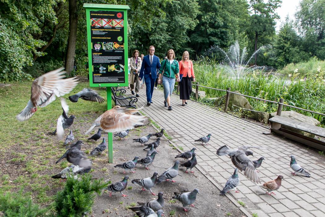 Mikołów liderem zielonej zmiany. Śląskie stawia na lokalne działania klimatyczne