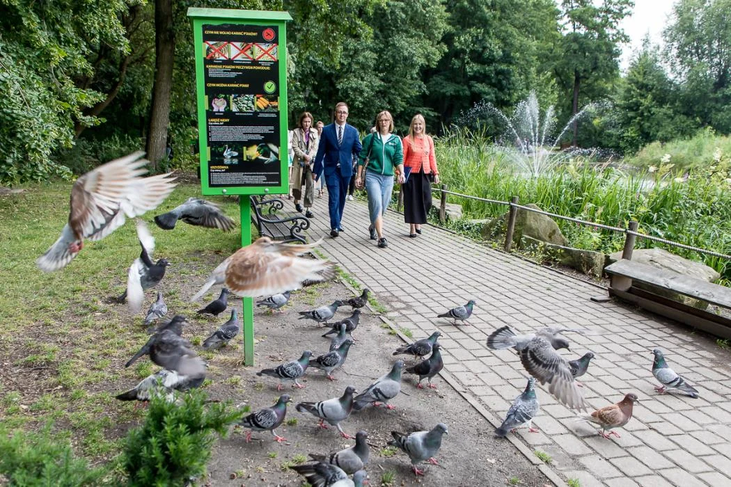 Mikołów liderem zielonej zmiany. Śląskie stawia na lokalne działania klimatyczne