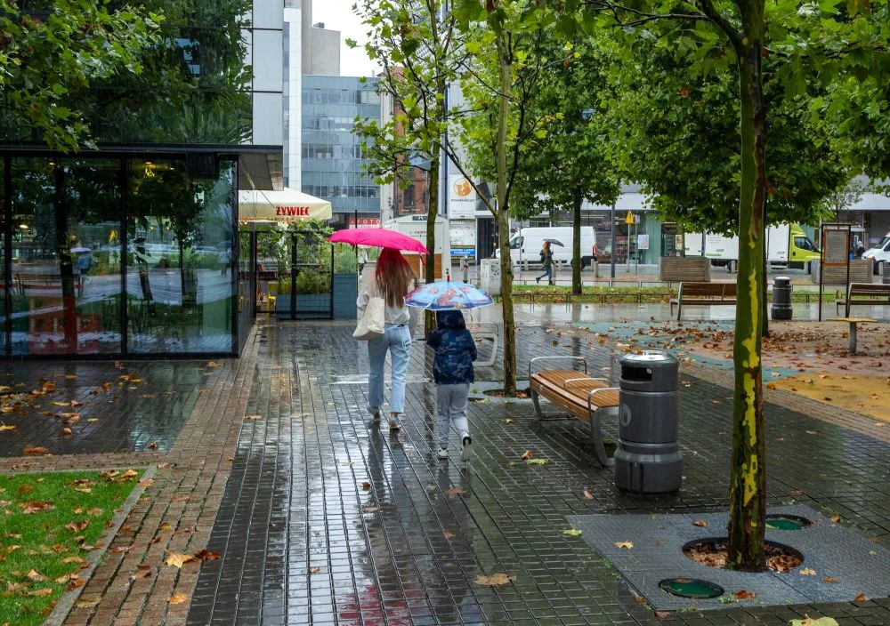 Intensywne opady deszczu w Katowicach. 27 interwencji służb miejskich