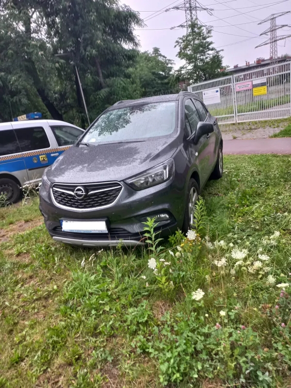 Parkowanie wbrew przepisom. Podsumowanie akcji straży miejskiej! 11