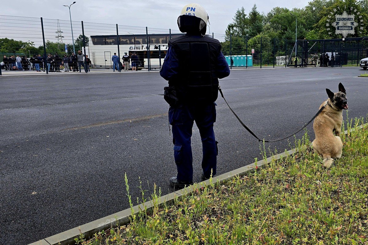 Policyjne działania podczas meczu GKS Katowice - Zagłębie Lubin 1