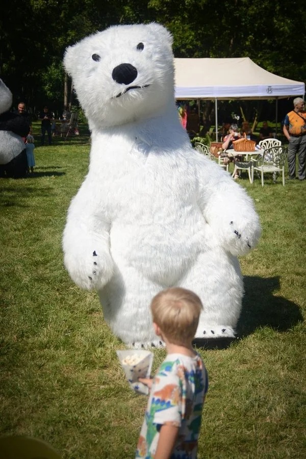 Festiwal Górnej Odry 2025 40